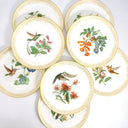 Boehm Complete Boehm Vintage Dinner Plate Set (8pc) | Hummingbird Collection Anniversary Gift for Bird Lover Gift For Spring Garden Party Lunch - Decorative Plates ClassyTea