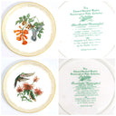 Boehm Complete Boehm Vintage Dinner Plate Set (8pc) | Hummingbird Collection Anniversary Gift for Bird Lover Gift For Spring Garden Party Lunch - Decorative Plates ClassyTea