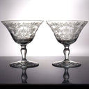 Fostoria Set of 6 Vintage Etched Glass Dessert Bowl | Midcentury Stemware for Ice Cream, Champagne, or Parfaits | Set of Coupe & Martini Glasses - Fruit/Dessert Bowl ClassyTea