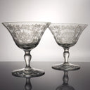 Fostoria Set of 6 Vintage Etched Glass Dessert Bowl | Midcentury Stemware for Ice Cream, Champagne, or Parfaits | Set of Coupe & Martini Glasses - Fruit/Dessert Bowl ClassyTea