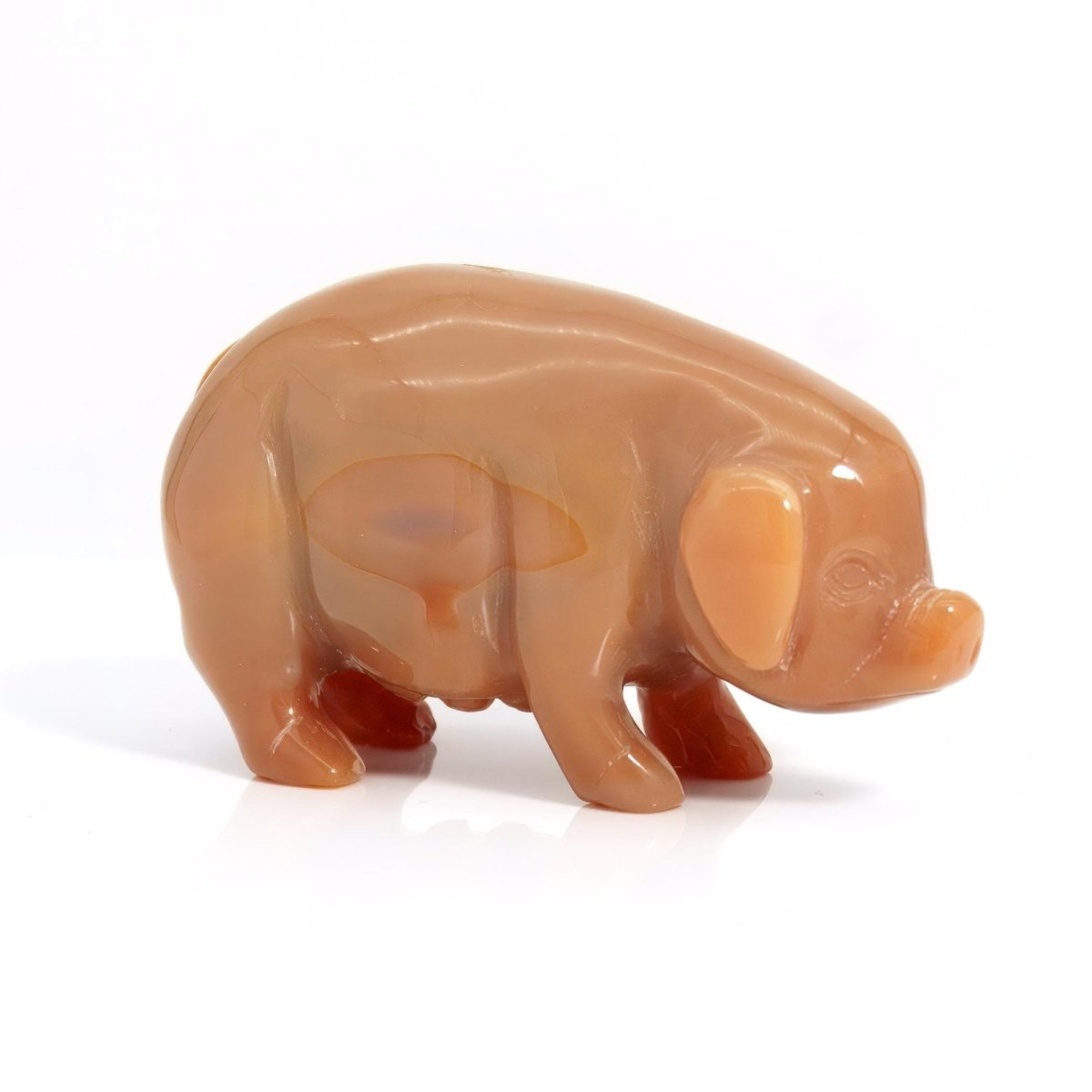 Independent Artisan Studio Carnelian Pig Paperweight Hand - Carved Stone Pig Sculpture Feng Shui Wealth Symbol Crystal Animal Desk Orange stone figurine Gift Decor - Stone Paperweight ClassyTea