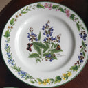 Royal Worcester Service for 4 Royal Worcester Herbs Malvern Botanical Florals Green Trim on White Porcelain, Rosemary & Sage Herbs 16 Piece Dinnerware Set - China Set ClassyTea