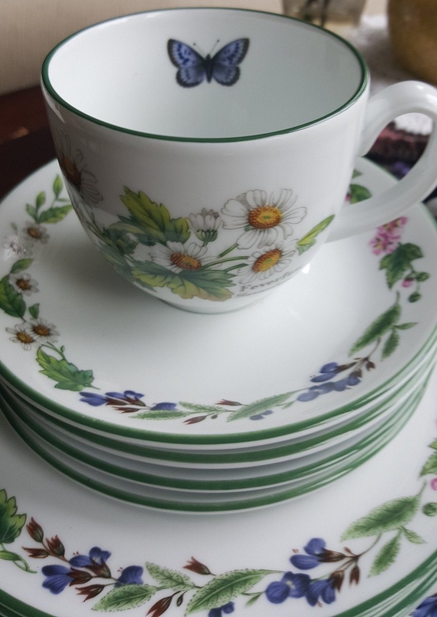 Royal Worcester Service for 4 Royal Worcester Herbs Malvern Botanical Florals Green Trim on White Porcelain, Rosemary & Sage Herbs 16 Piece Dinnerware Set - China Set ClassyTea
