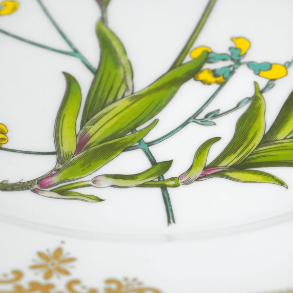 Spode Spode Stafford Flowers Dinner Plate Set For 8 (Iris & Sphaerolobium) - Plates ClassyTea