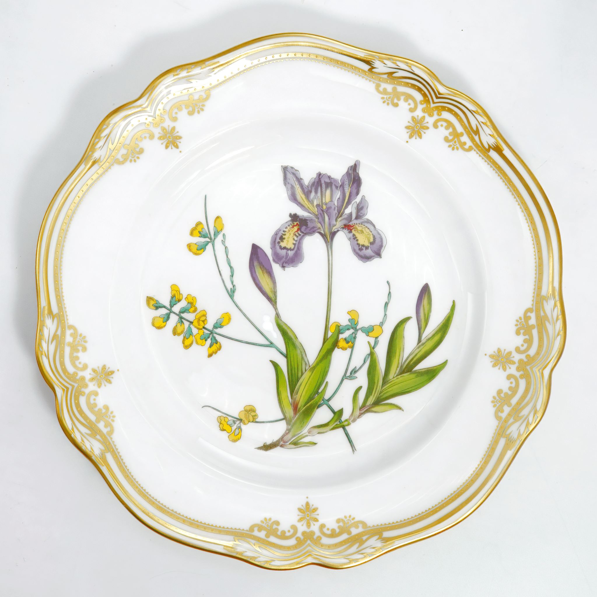 Spode Spode Stafford Flowers Dinner Plate Set For 8 (Iris & Sphaerolobium) - Plates ClassyTea