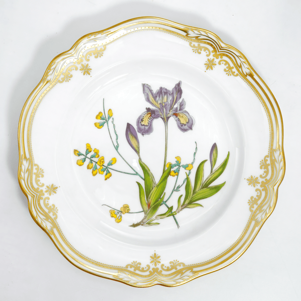 Spode Spode Stafford Flowers Dinner Plate Set For 8 (Iris & Sphaerolobium) - Plates ClassyTea