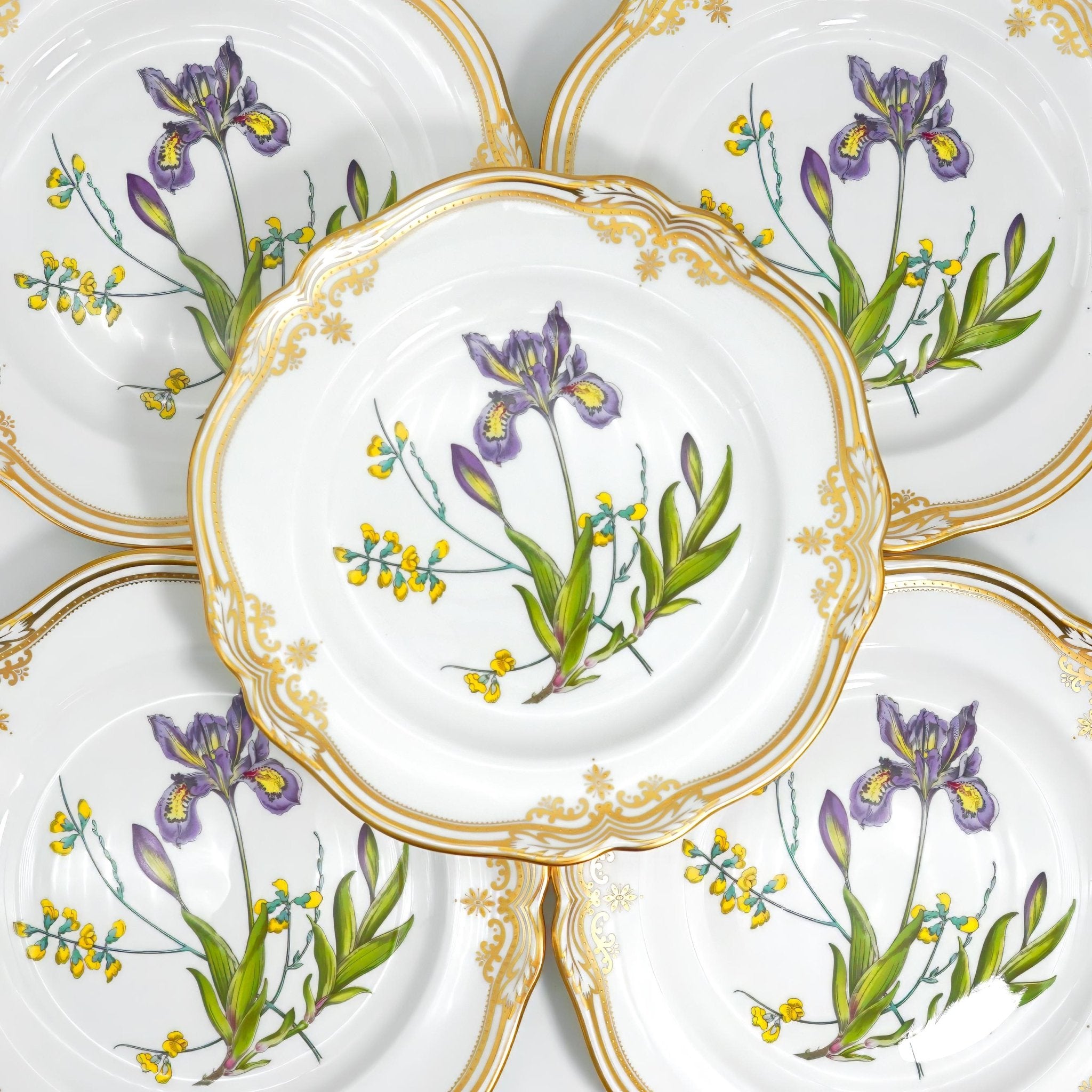 Spode Stafford Flowers Dinner Plate Set For 8 (Iris