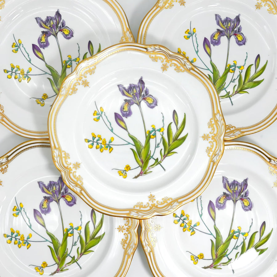 Spode Stafford Flowers Dinner Plates (11"), Set of 8 | Vintage Bone China