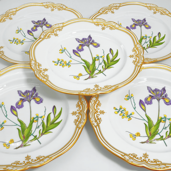 Spode Spode Stafford Flowers Dinner Plate Set For 8 (Iris & Sphaerolobium) - Plates ClassyTea