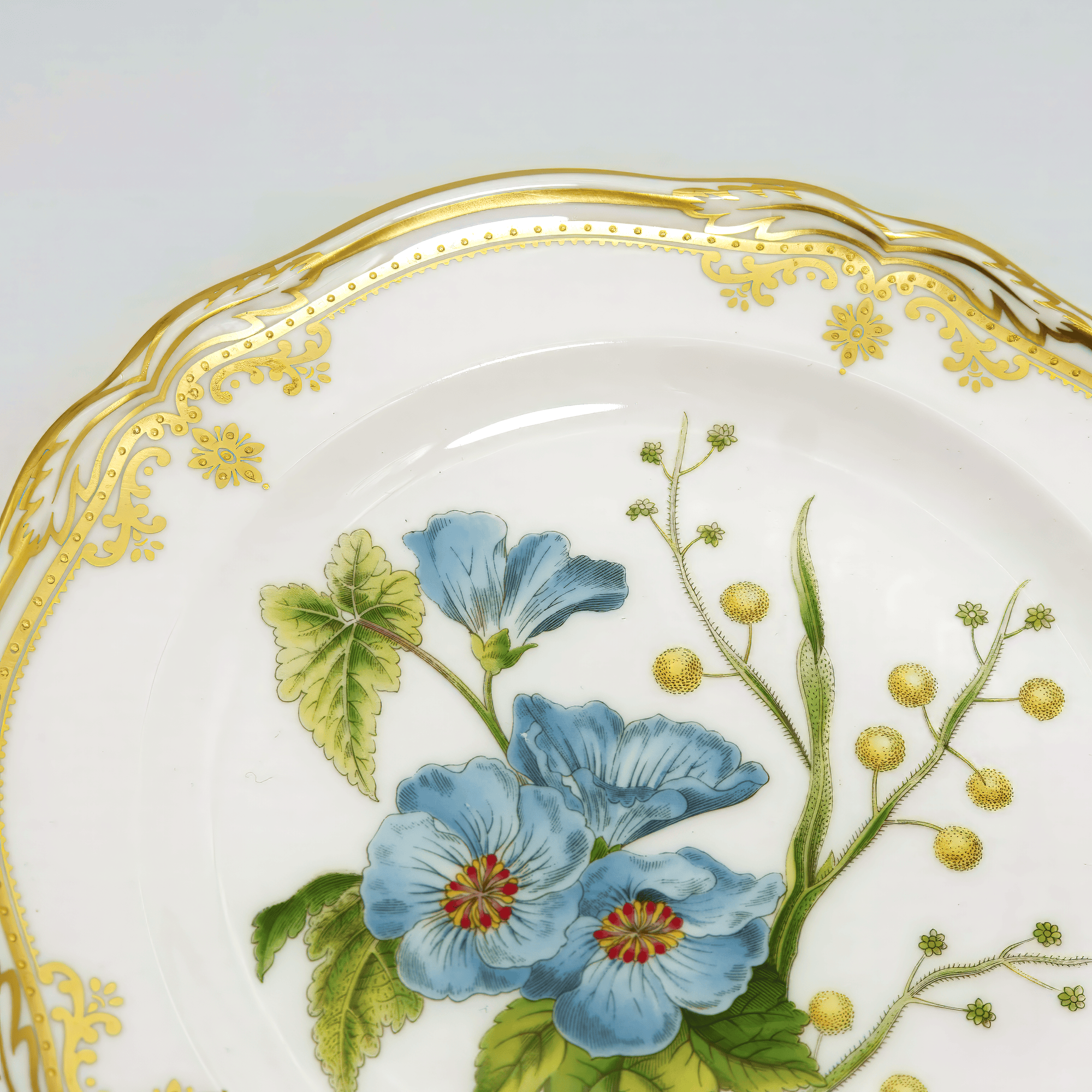Spode Spode Stafford Flowers Salad/Dessert Plate Set of 6 (Sida & Acacia) - Plates ClassyTea