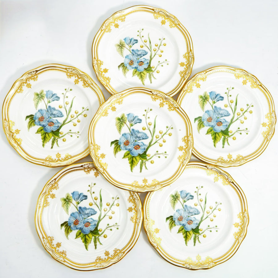 Spode Stafford Flowers Salad Plates (8"), Set of 6 | Vintage Bone China