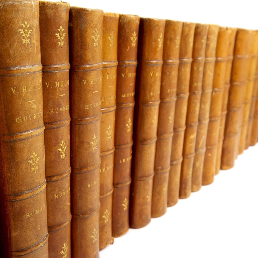 Victor Hugo Oeuvres Complètes Leather Bound Books, Set of 23 | Antique Leather